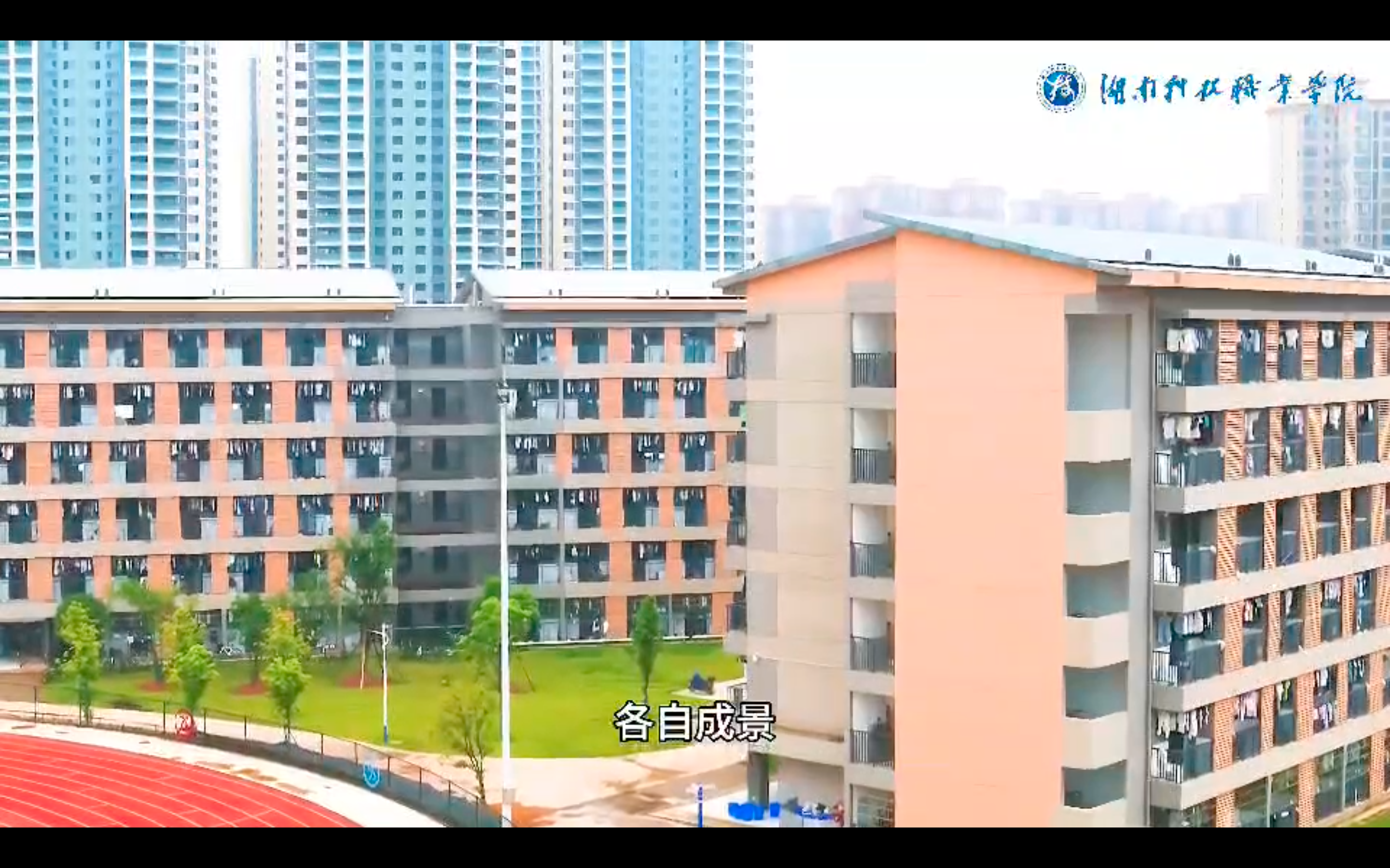 新生邀你速览“我家小院”——新利官方注册